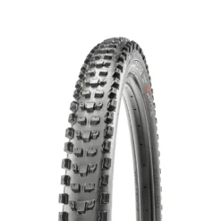 MAXXIS Dissector Folding DC EXO TR