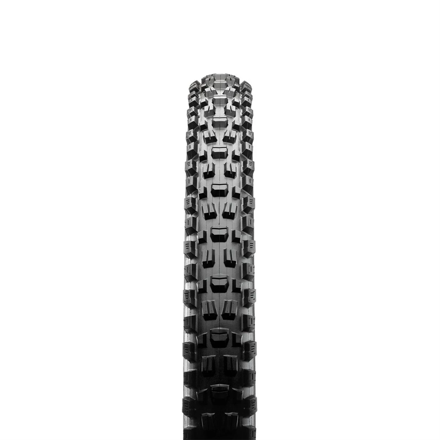 MAXXIS Assegai Folding DC EXO TR - Image 2