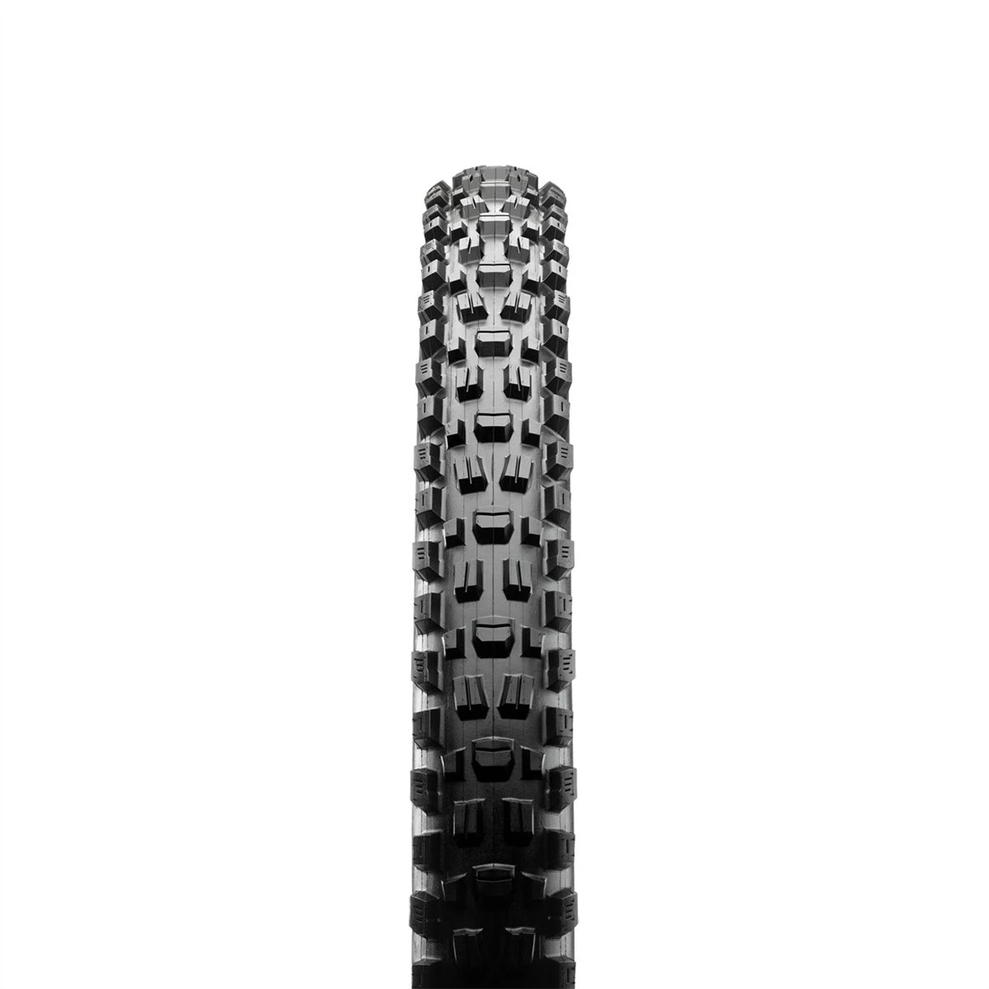 MAXXIS Assegai Folding WT 3C EXO TR - Image 2