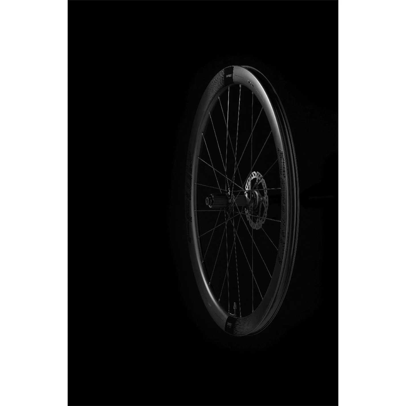 Fast Forward DT350 Pair - Image 6