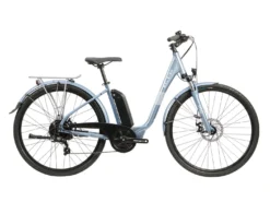 Raleigh Array Low-Step Exclusive Electric Hybrid Bike
