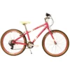 Raleigh Pop 24 Inch Kids Bike