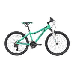 Divine 24 Inch Girl's Mountain Bike